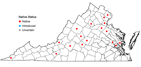 Locations ofIsotria medeoloides (Pursh) Raf. in Virginia