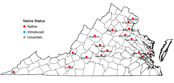 Locations ofIsotria medeoloides (Pursh) Raf. in Virginia