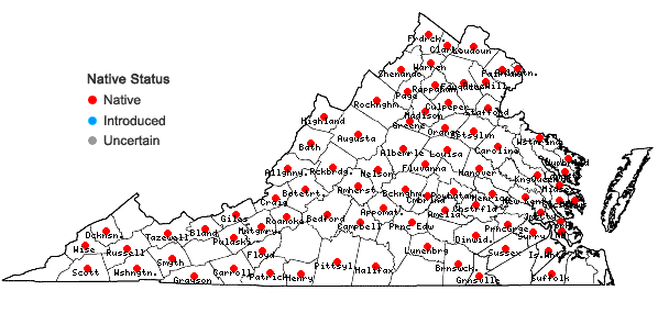 Locations ofIsotria verticillata (Muhl. ex Willd.) Raf. in Virginia