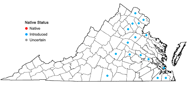 Locations ofIva annua L. var. annua in Virginia