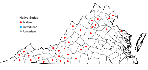 Locations ofJubula pennsylvanica (Stephani) A. Evans ssp. pennsylvanica in Virginia