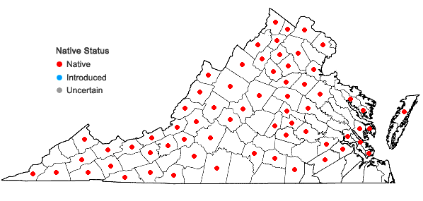 Locations ofJuglans cinerea L. in Virginia