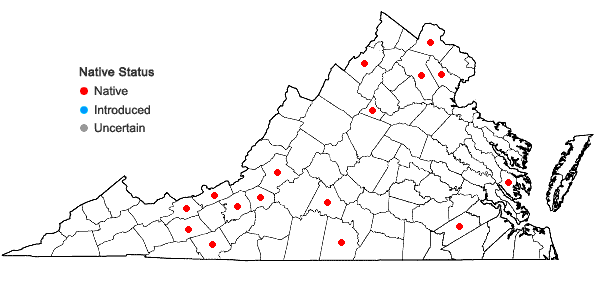 Locations ofJuncus anthelatus (Wieg.) R.E. Brooks in Virginia