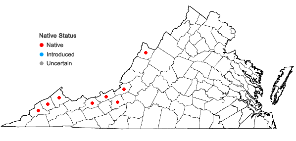 Locations ofJuncus articulatus L. in Virginia
