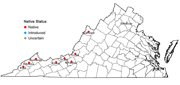 Locations ofJuncus articulatus L. in Virginia