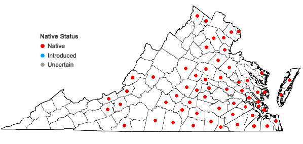 Locations ofJuncus biflorus Ell. in Virginia