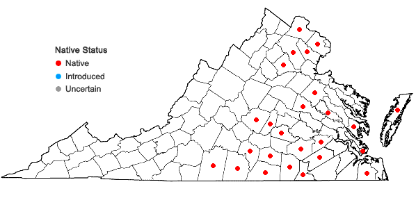 Locations ofJuncus brachycarpus Engelm. in Virginia