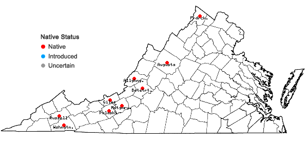 Locations ofJuncus brachycephalus (Engelm.) Buch. in Virginia