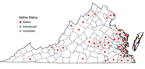 Locations ofJuncus bufonius L. in Virginia