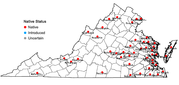 Locations ofJuncus bufonius L. in Virginia