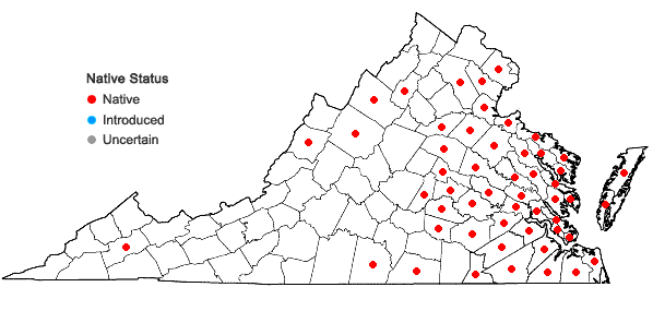 Locations ofJuncus canadensis J. Gay ex Laharpe in Virginia