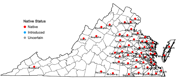 Locations ofJuncus canadensis J. Gay ex Laharpe in Virginia