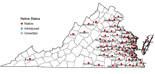 Locations ofJuncus canadensis J. Gay ex Laharpe in Virginia