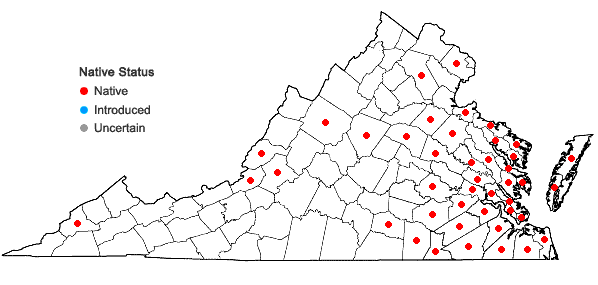 Locations ofJuncus debilis Gray in Virginia
