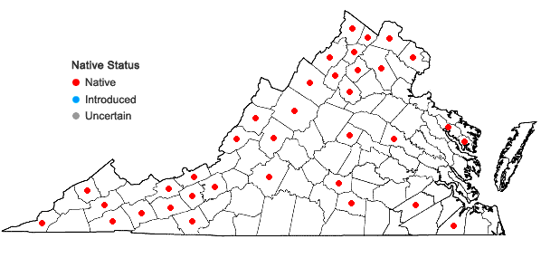Locations ofJuncus dudleyi Wieg. in Virginia