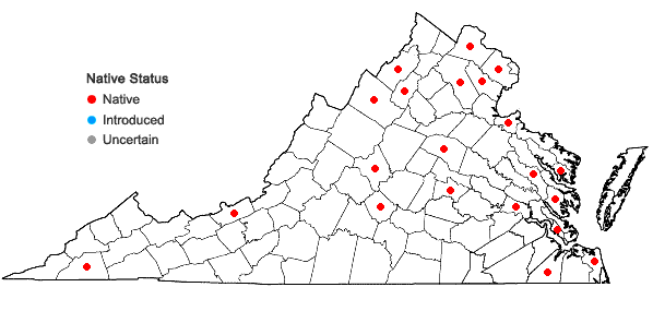 Locations ofJuncus effusus L. var. pylaei (Laharpe) Fernald & Wiegand in Virginia