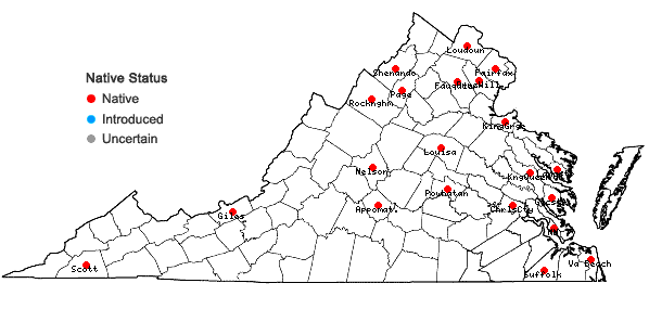 Locations ofJuncus effusus L. var. pylaei (Laharpe) Fernald & Wiegand in Virginia