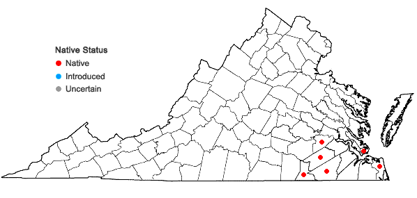 Locations ofJuncus elliottii Chapman in Virginia