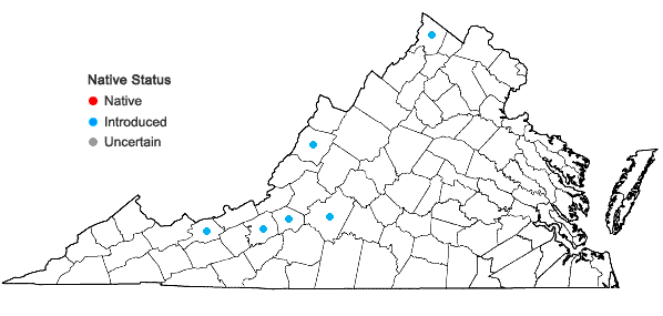 Locations ofJuncus inflexus L. in Virginia