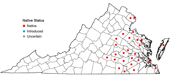Locations ofJuncus longii Fern. in Virginia