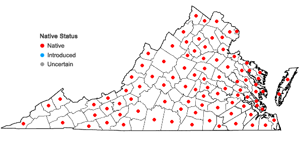 Locations ofJuncus marginatus Rostk. in Virginia