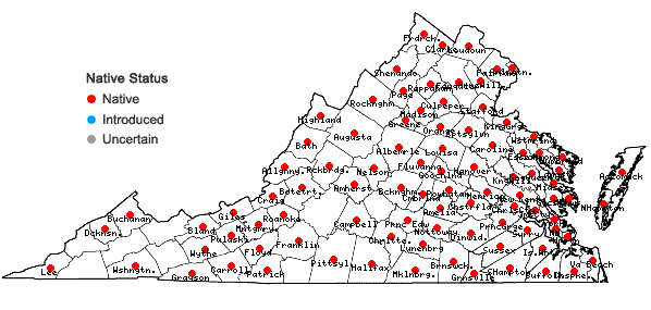 Locations ofJuncus marginatus Rostk. in Virginia