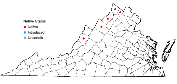 Locations ofJuncus nodosus L. in Virginia