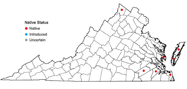 Locations ofJuncus scirpoides Lam. var. compositus Harper in Virginia