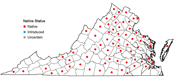 Locations ofJuncus secundus Beauv. ex Poir. in Virginia