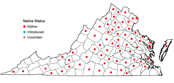 Locations ofJuncus secundus Beauv. ex Poir. in Virginia