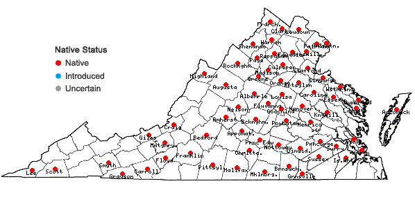 Locations ofJuncus secundus Beauv. ex Poir. in Virginia