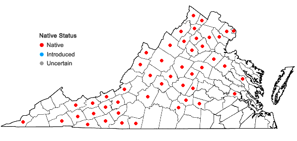 Locations ofJuncus subcaudatus (Engelm.) Coville & Blake in Virginia