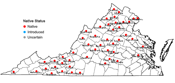 Locations ofJuncus subcaudatus (Engelm.) Coville & Blake in Virginia