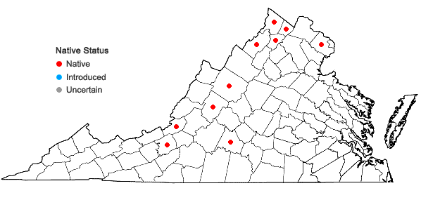 Locations ofJuncus torreyi Coville in Virginia