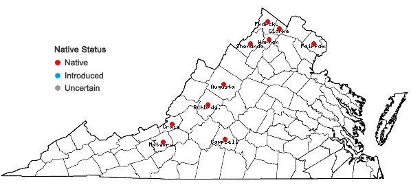 Locations ofJuncus torreyi Coville in Virginia