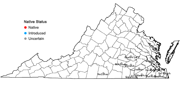 Locations ofJuncus validus Coville var. validus in Virginia