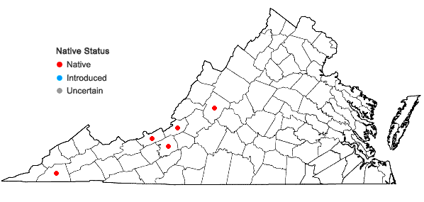Locations ofJungermannia pumila With.            in Virginia