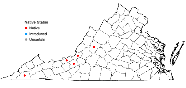 Locations ofJungermannia pumila With. in Virginia