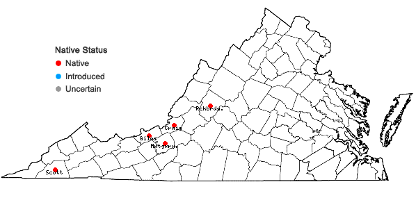 Locations ofJungermannia pumila With.            in Virginia