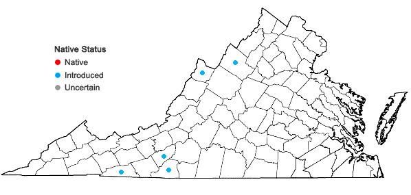 Locations ofJuniperus communis L. var. communis in Virginia