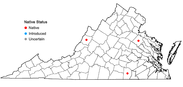 Locations ofJuniperus communis L. var. depressa Pursh in Virginia