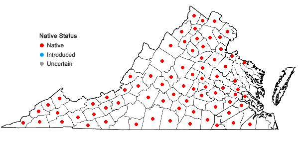 Locations ofJusticia americana (L.)Vahl in Virginia