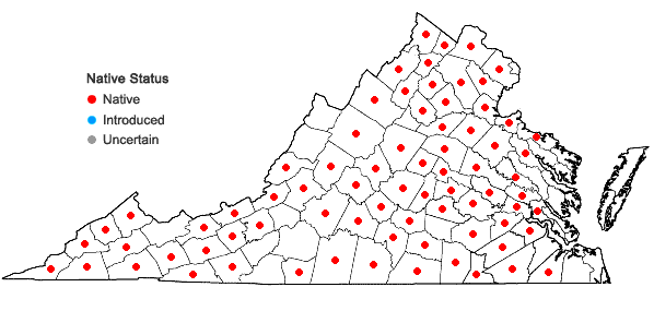 Locations ofJusticia americana (L.)Vahl in Virginia