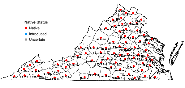 Locations ofJusticia americana (L.)Vahl in Virginia