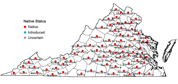 Locations ofJusticia americana (L.)Vahl in Virginia