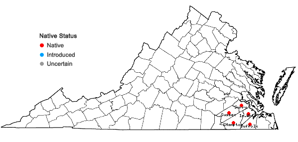 Locations ofJusticia ovata (Walter) Lindau var. ovata in Virginia