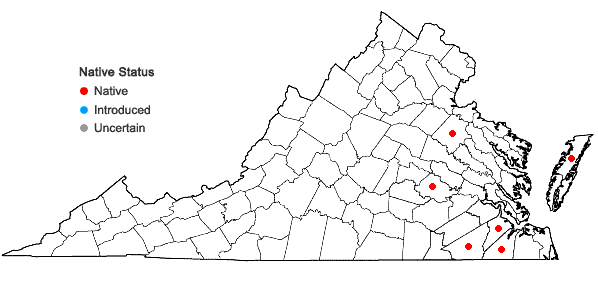 Locations ofKalmia angustifolia L. in Virginia