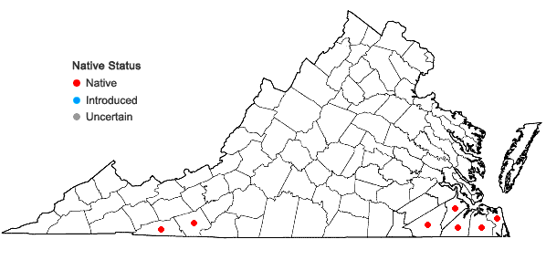 Locations ofKalmia carolina Small in Virginia