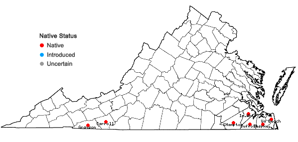 Locations ofKalmia carolina Small in Virginia