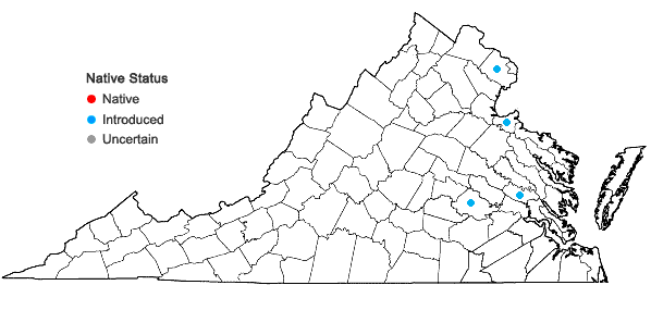 Locations ofKerria japonica (L.) DC. in Virginia